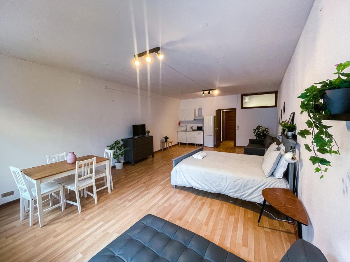 Travel & Live Aliados Apartment بورتو المظهر الخارجي الصورة