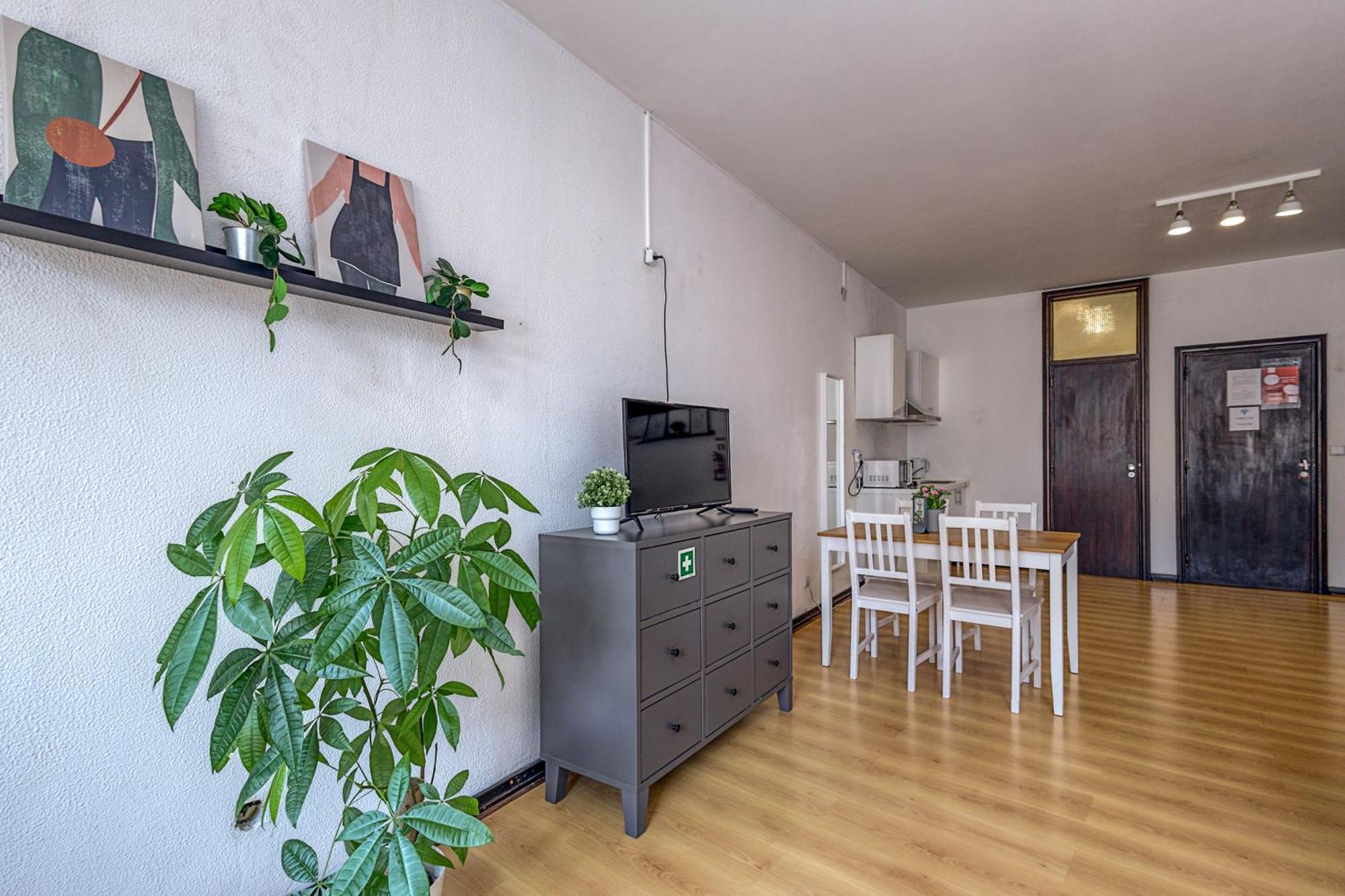Travel & Live Aliados Apartment بورتو المظهر الخارجي الصورة